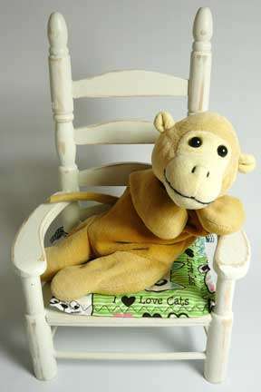 Monkey in his new chair.