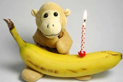 Birthday Candle in Banana