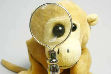 Monkey with magnifying glass