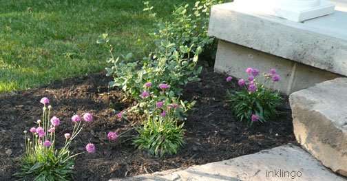 Ballerina Lilac Sea Thrift