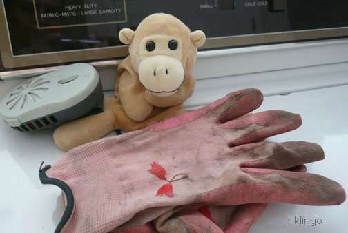 Monkey with garden gloves