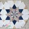 Silent Garden star