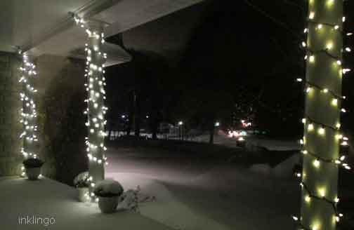 Snowy Garden