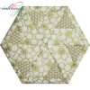 Monkey Exercise # 1 Pieced Hexagon