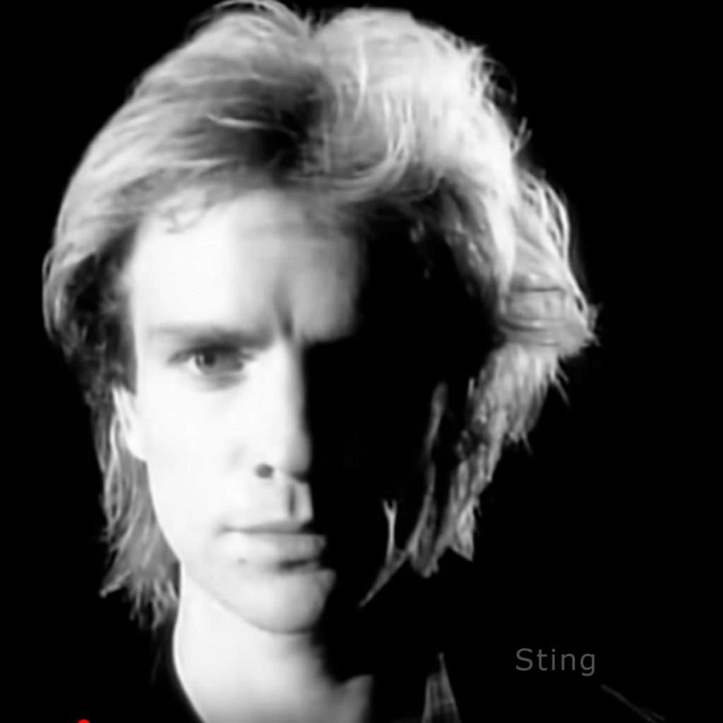 Sting in 1983