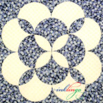 Clamshell Rose in EQ