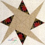 Fussy Cut Starry Path