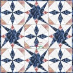 Starry Path with Key West Beauty