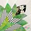 Cleopatra's Fan 12 inch