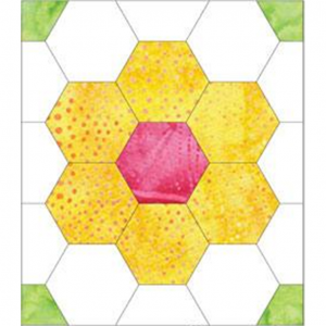 3 inch hexagons