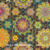 Dance the Night Away quilt detail by Willyne Hammerstein