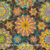 Dance the Night Away quilt detail by Willyne Hammerstein