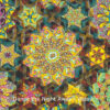 Dance the Night Away quilt detail by Willyne Hammerstein